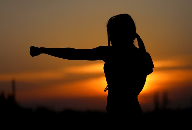 Sun Style Chinese Martial Arts